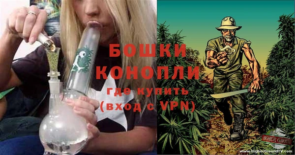 твердый Верея