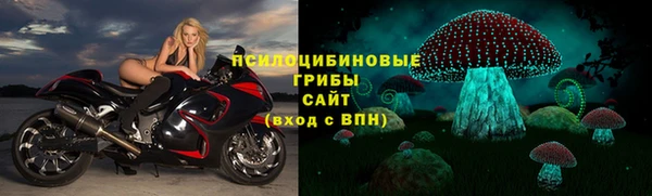 ПСИЛОЦИБИНОВЫЕ ГРИБЫ Бородино
