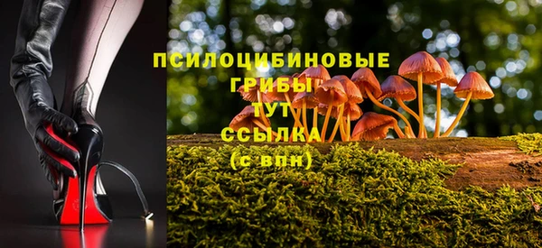 твердый Верея