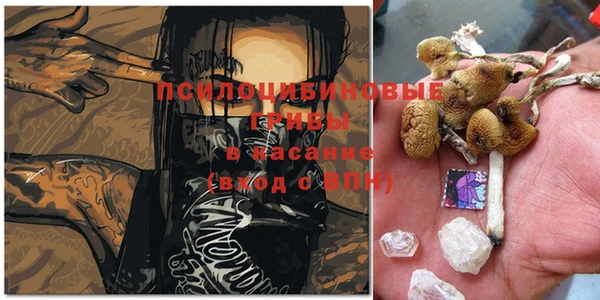 mdpv Верхний Тагил