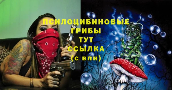 твердый Верея
