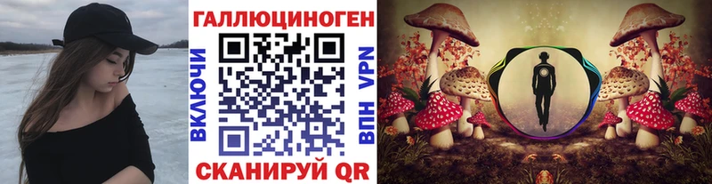 купить закладку  Гудермес  Псилоцибиновые грибы MAGIC MUSHROOMS 