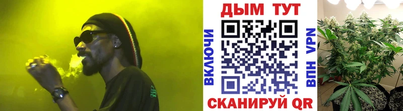 Конопля планчик  Гудермес 